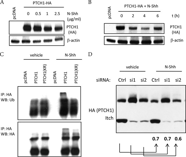 FIG 8