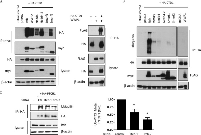 FIG 3