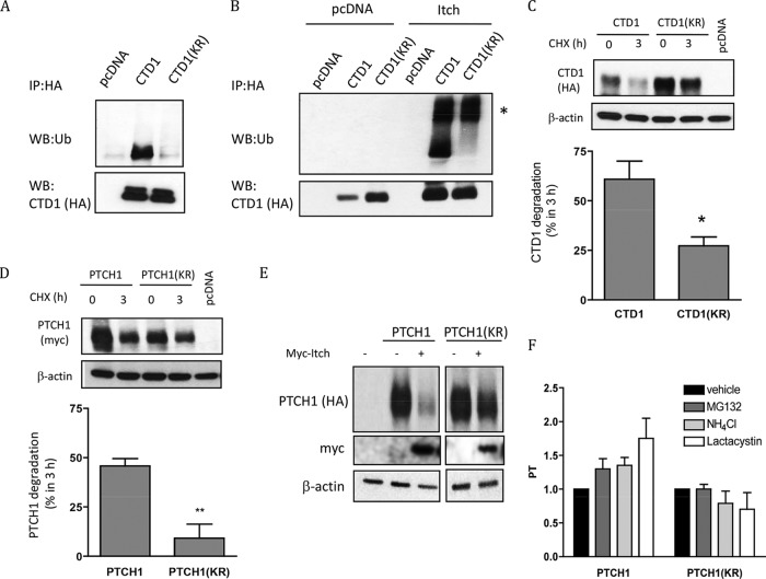 FIG 6