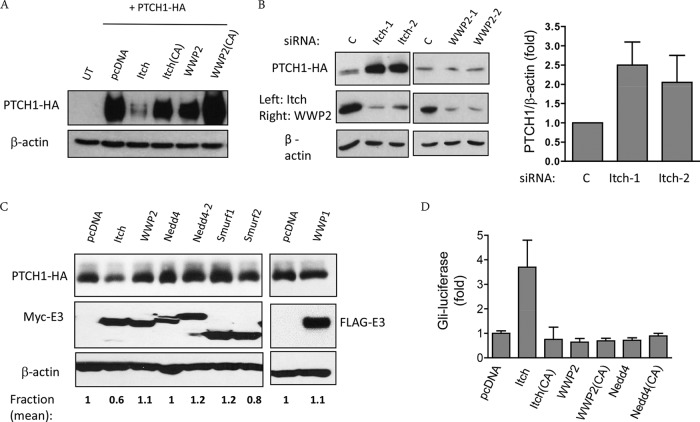 FIG 4