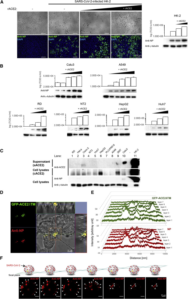 Figure 6