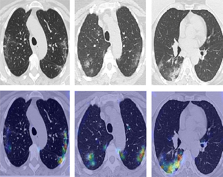 Fig. 6