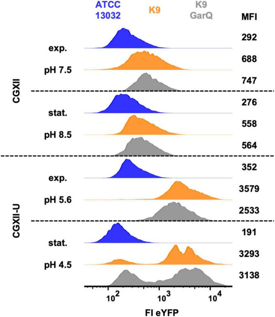 FIGURE 3