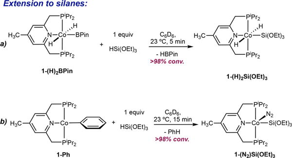 Scheme 4