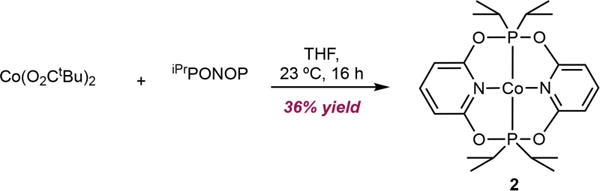 Scheme 5