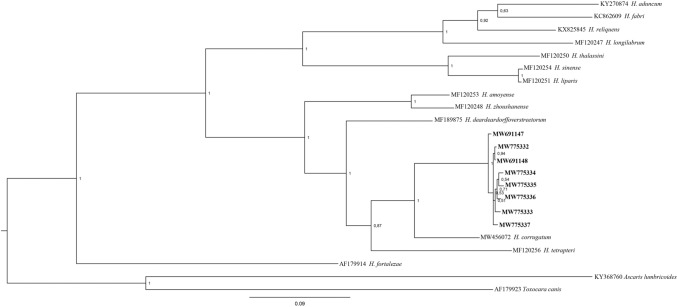 Figure 3