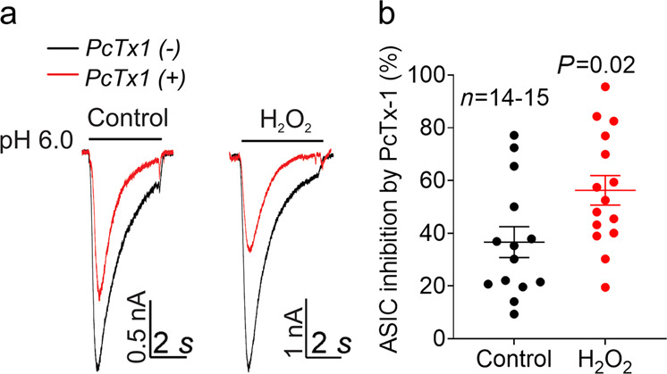 Fig. 7