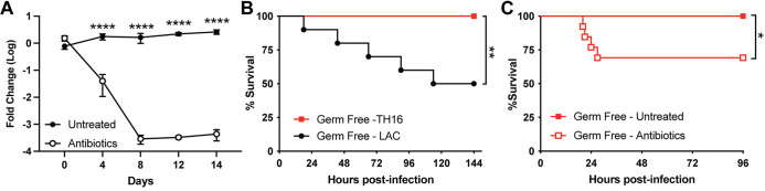 FIG 6