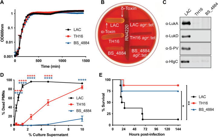 FIG 1