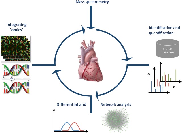 Figure 3