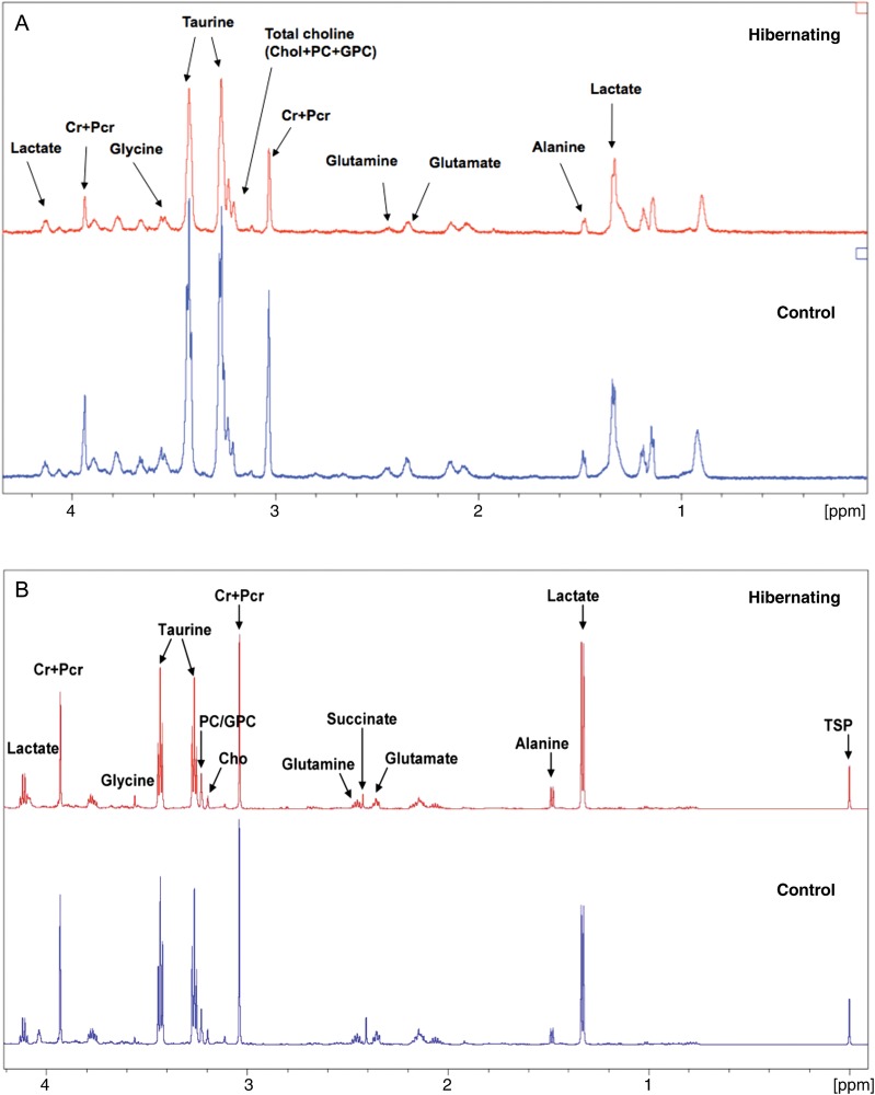 Figure 5