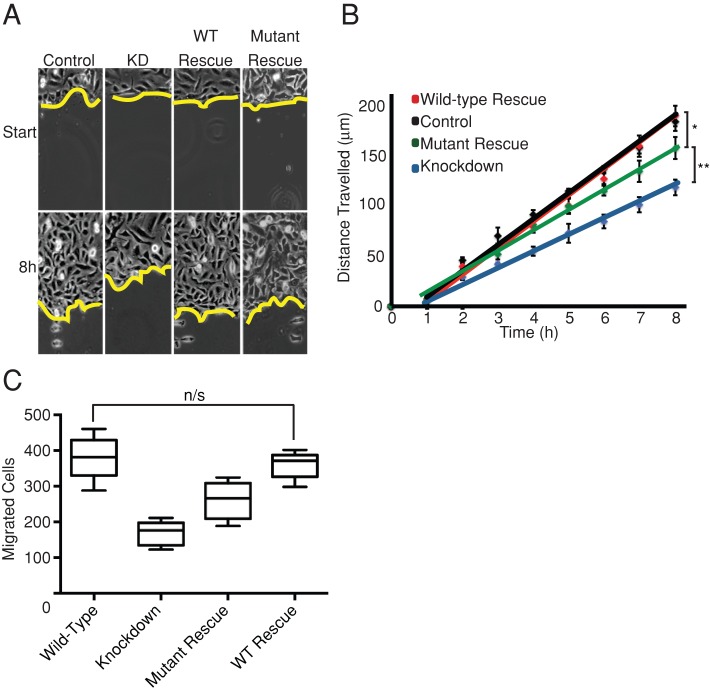 FIGURE 5: