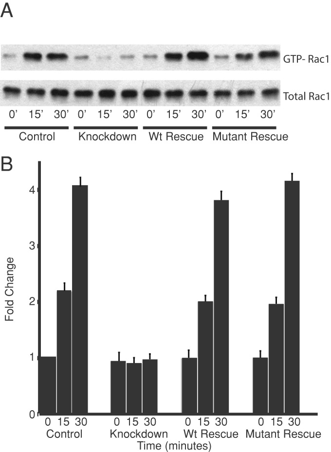 FIGURE 6: