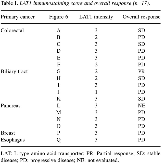 graphic file with name in_vivo-34-2597-i0001.jpg