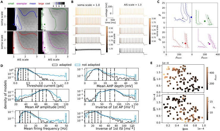 Figure 3