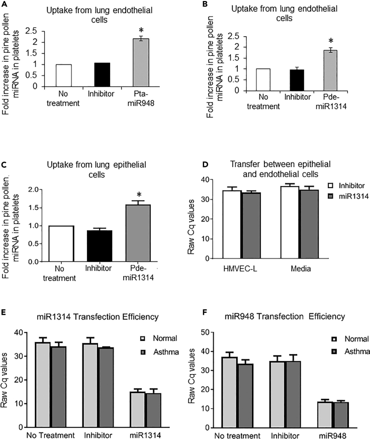 Figure 2