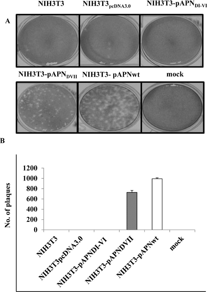 Fig. 6