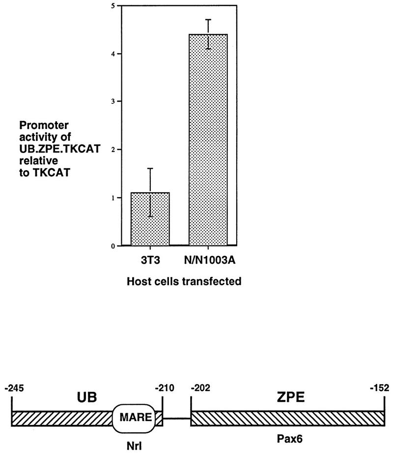 FIG. 5