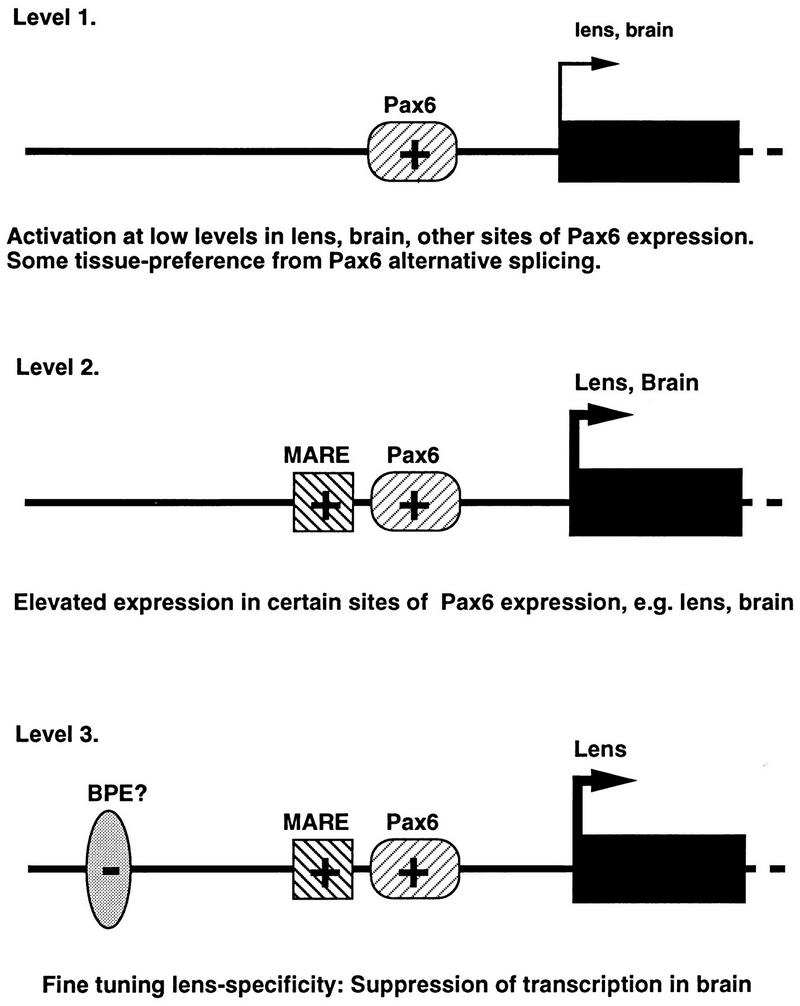 FIG. 8