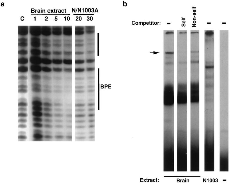 FIG. 7