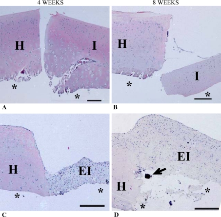 Fig. 4A–D