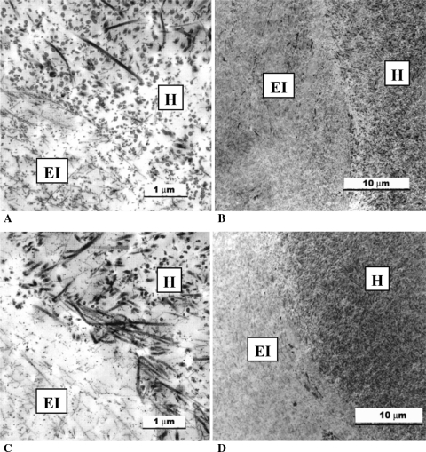 Fig. 6A–D