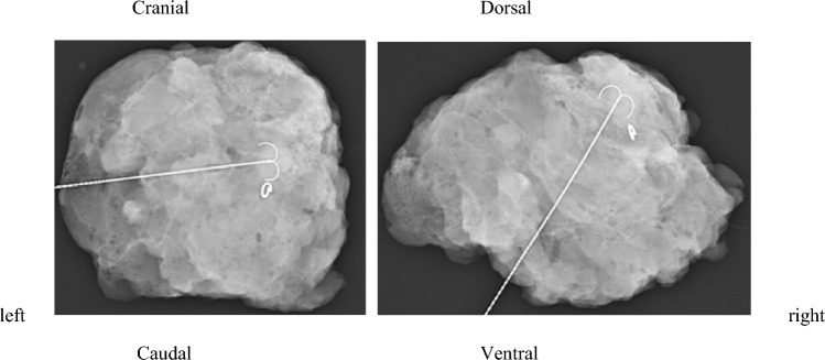 Fig. 2