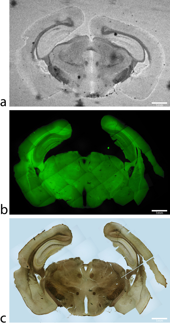 FIG 4