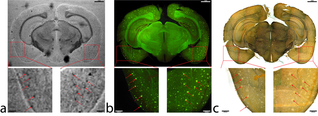 FIG 3