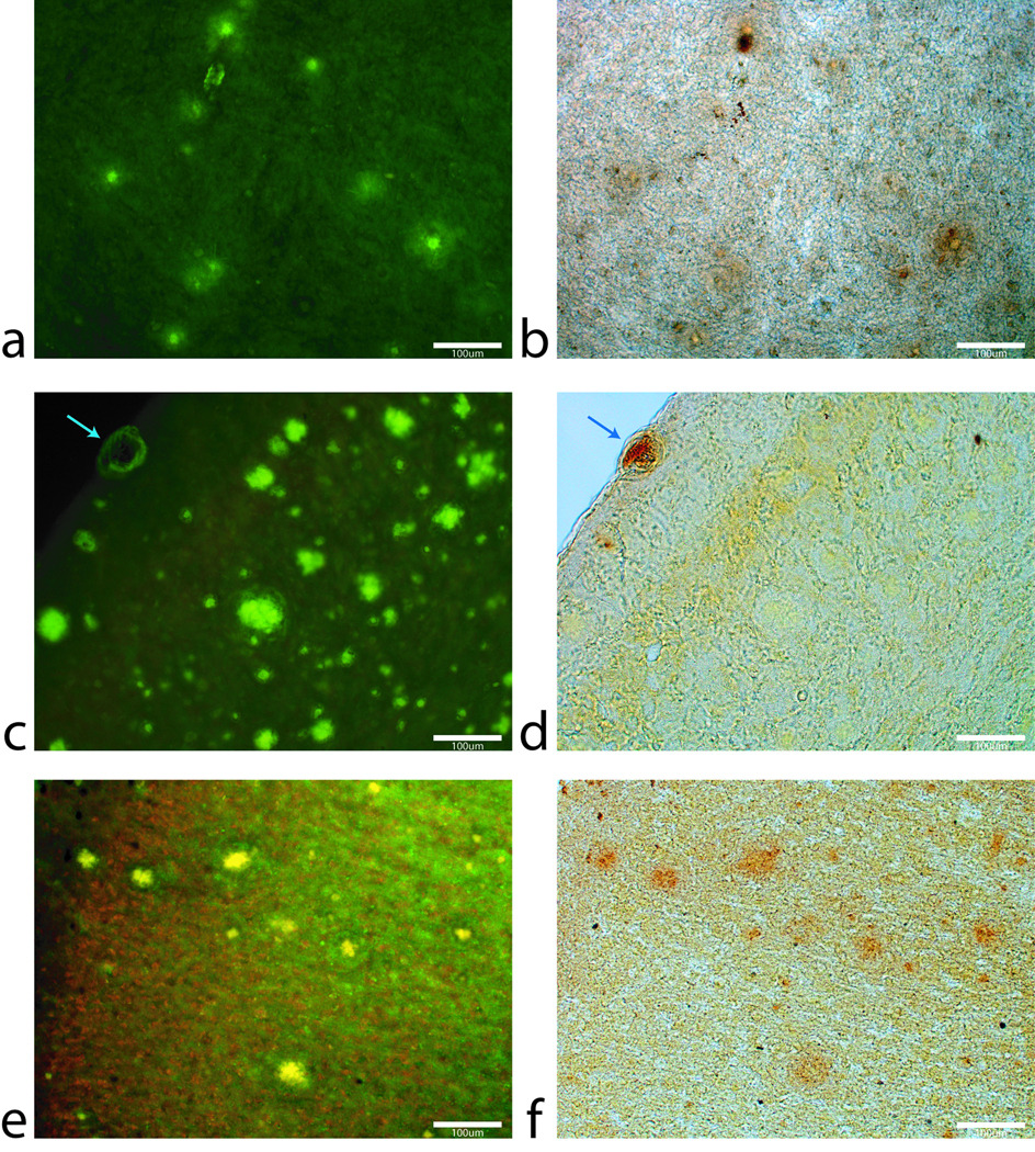 FIG 5