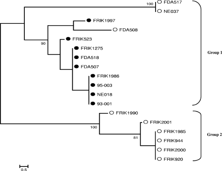 FIG. 1.