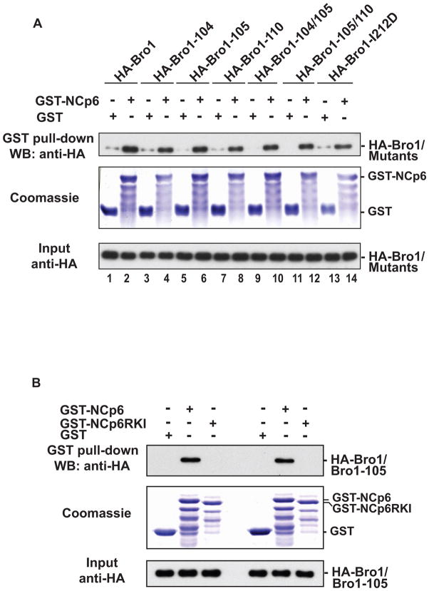 Figure 6