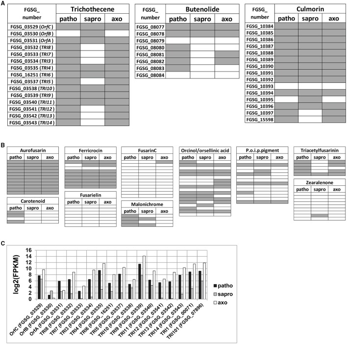 Figure 6