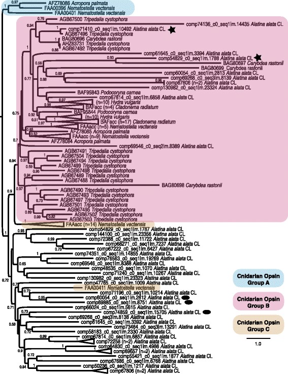 Fig. 11