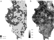FIGURE 1—