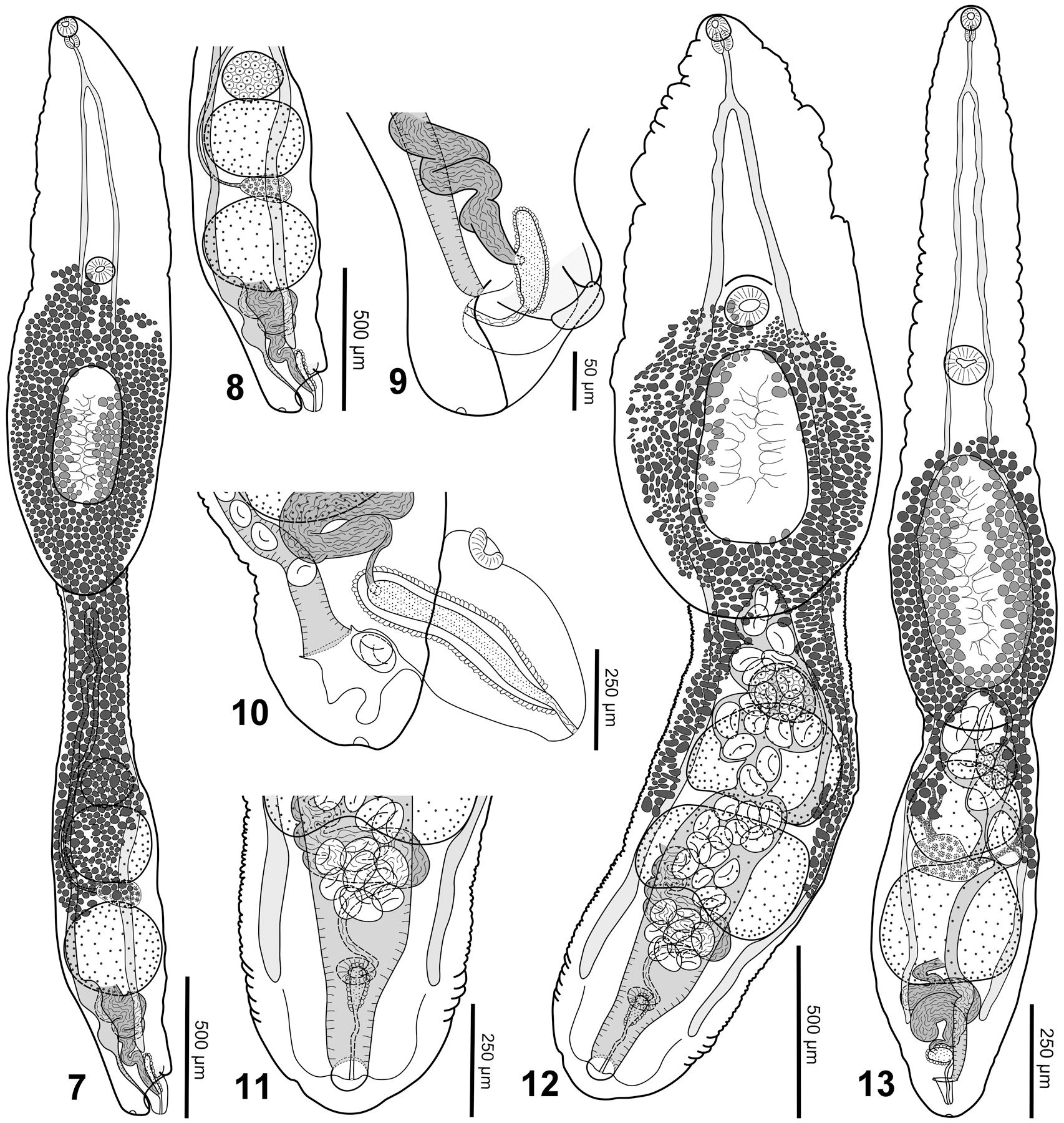 Figures 7–13.