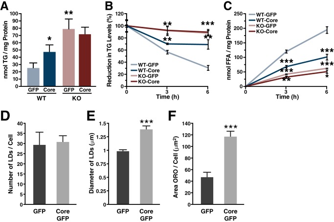 FIGURE 4.