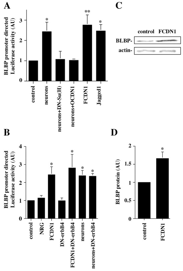 Figure 7.