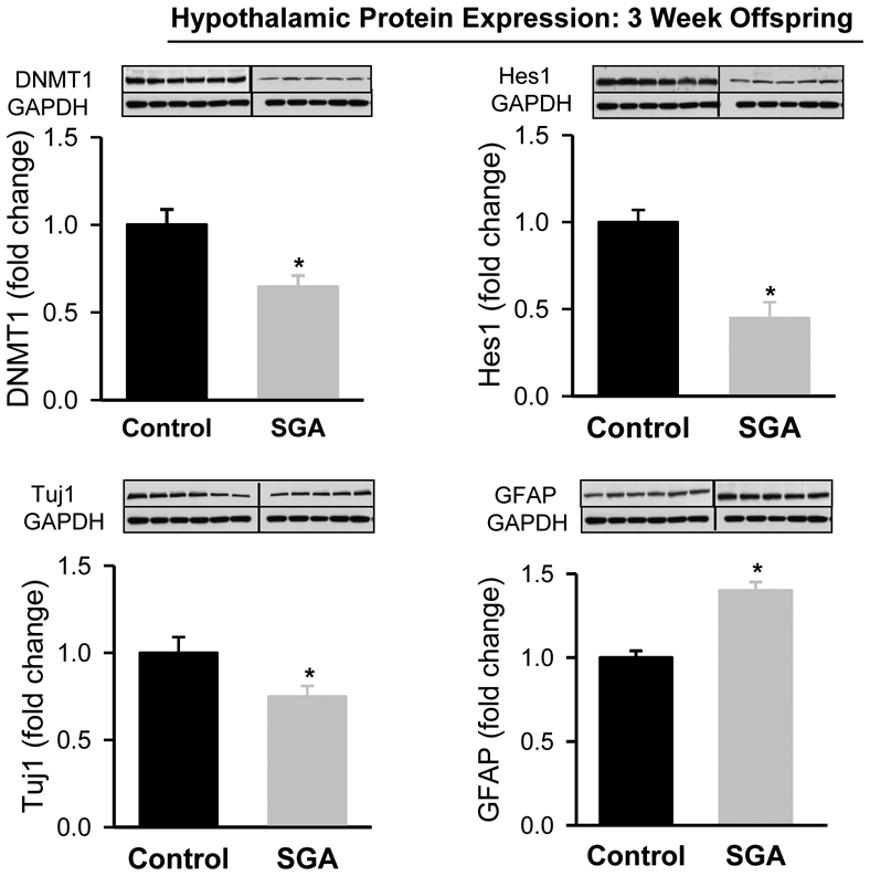 Figure 3: