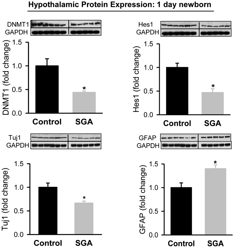 Figure 2: