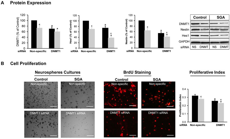 Figure 4: