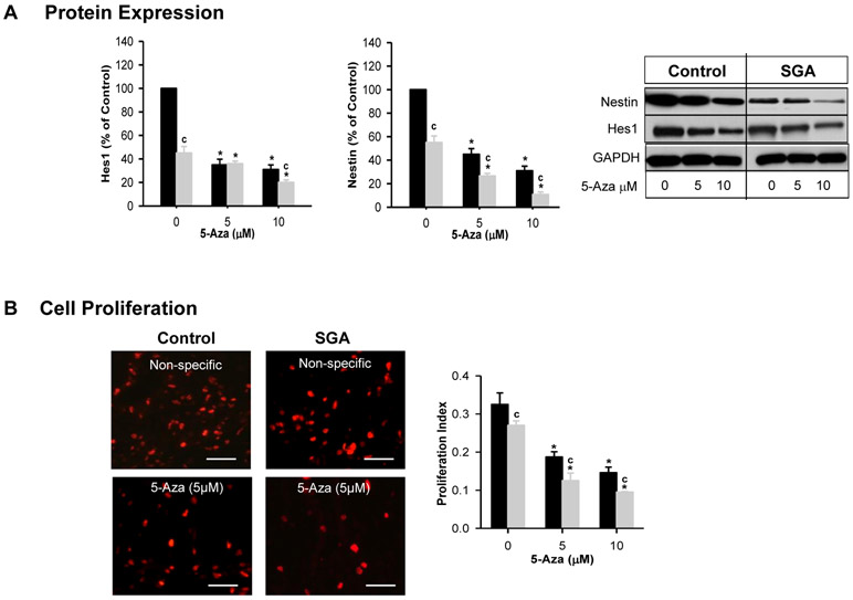 Figure 6: