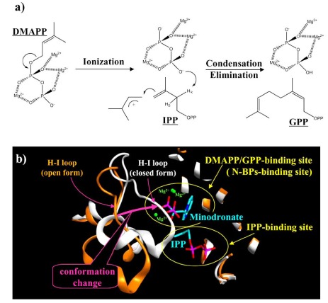 Fig. (2)