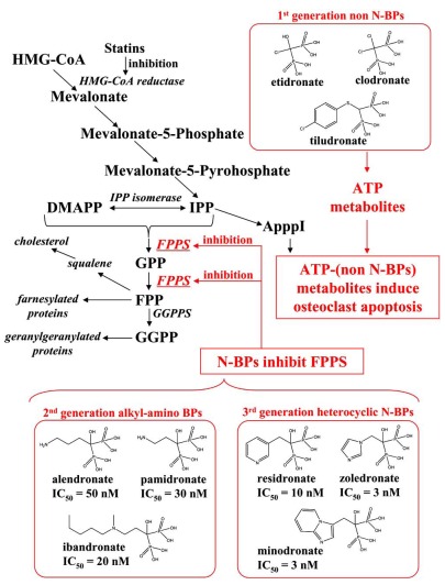 Fig. (1)