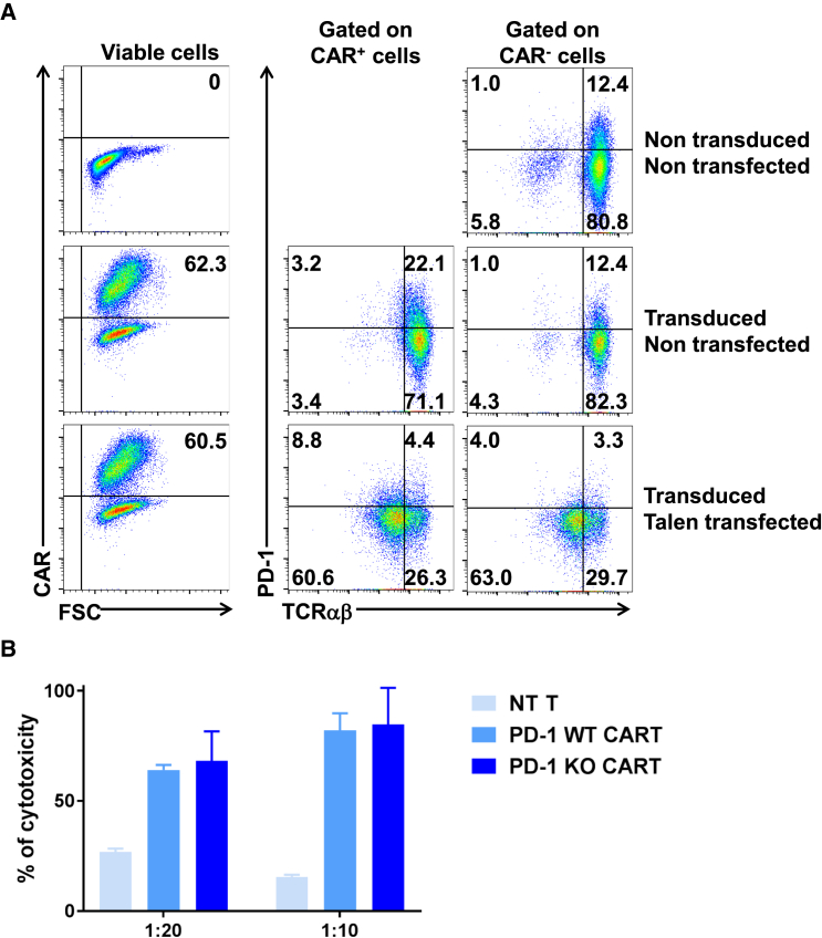 Figure 5