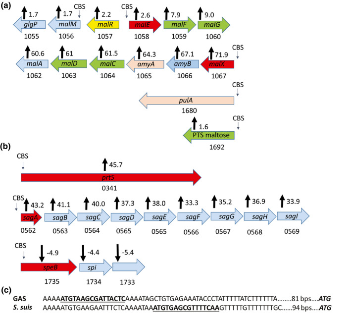 FIGURE 5