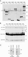 FIG. 7.