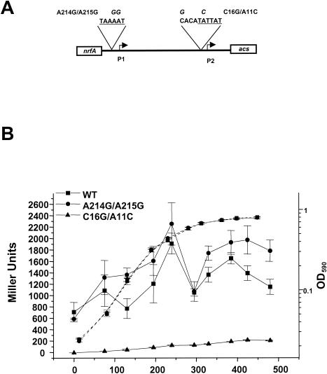 FIG. 2.