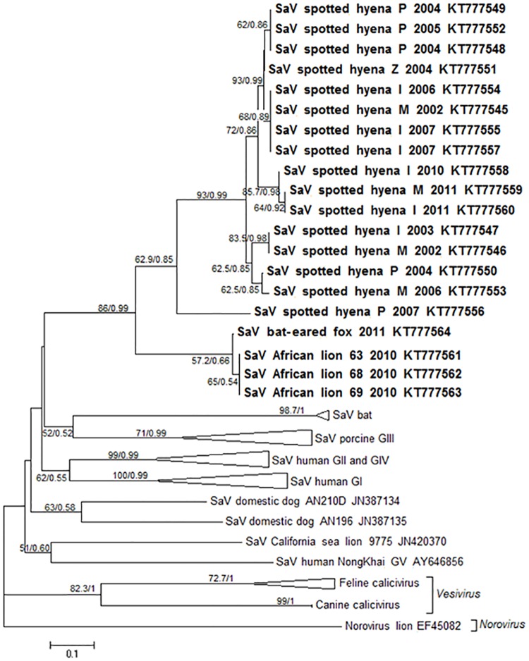 Fig 2