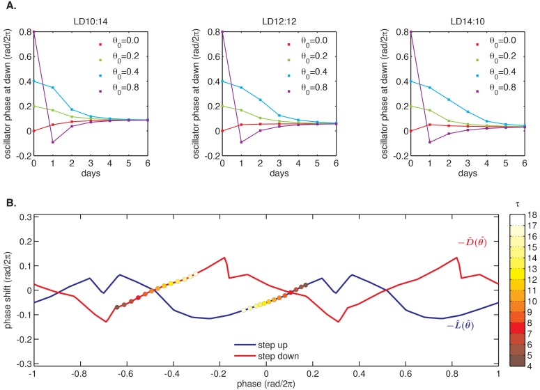 Figure 4—figure supplement 1.